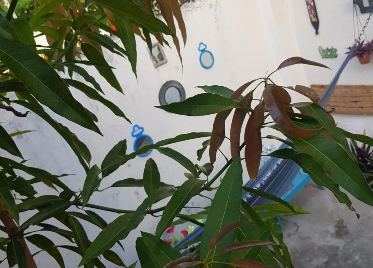 Acero'Lar Hostel Recife